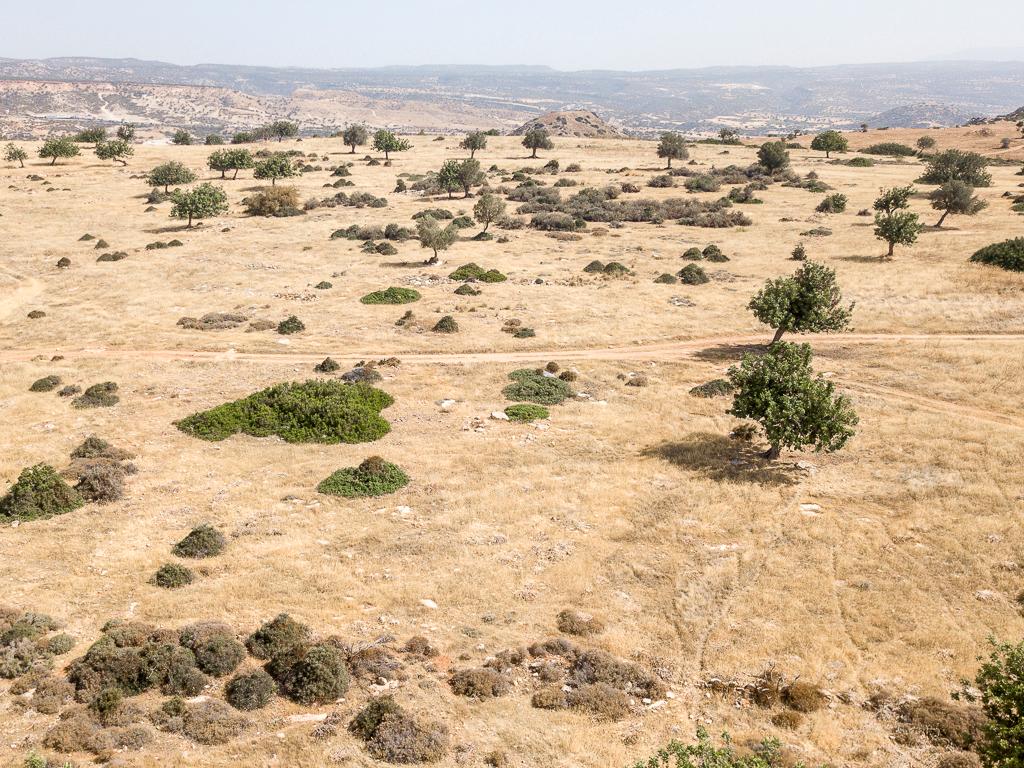 Field-Pissouri-PR41998