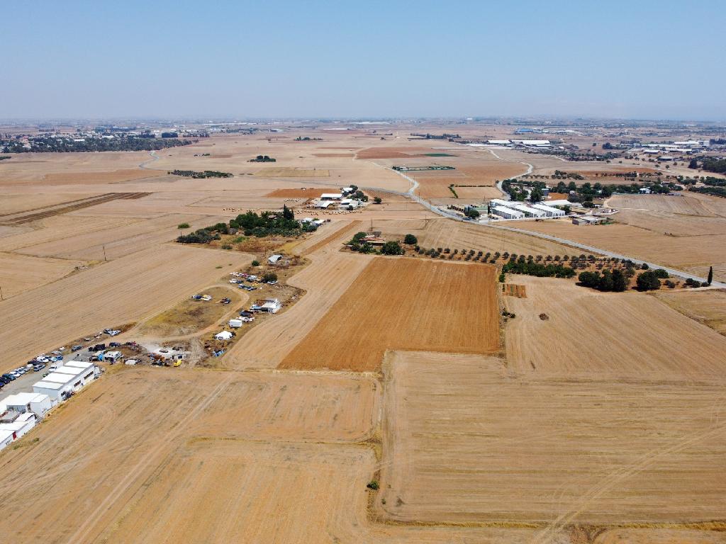 Field (Share) - Xylotimpou, Larnaca