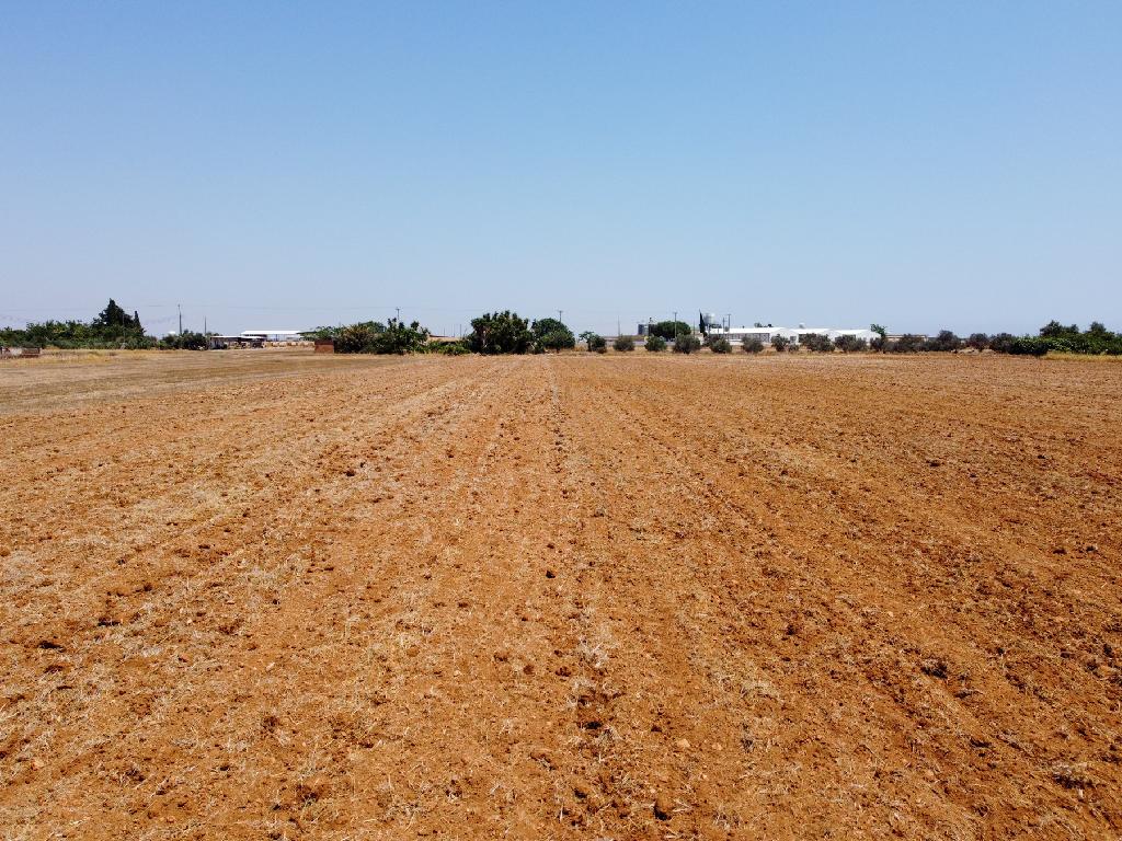 Field (Share) - Xylotimpou, Larnaca