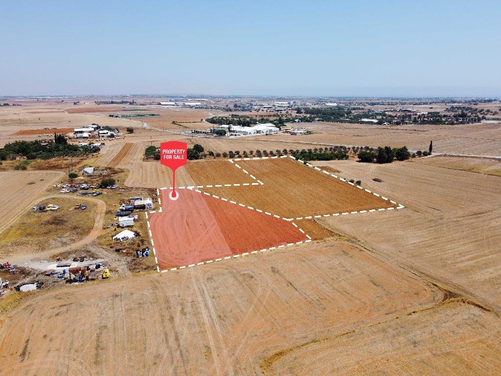 Field (Share) - Xylotimpou, Larnaca