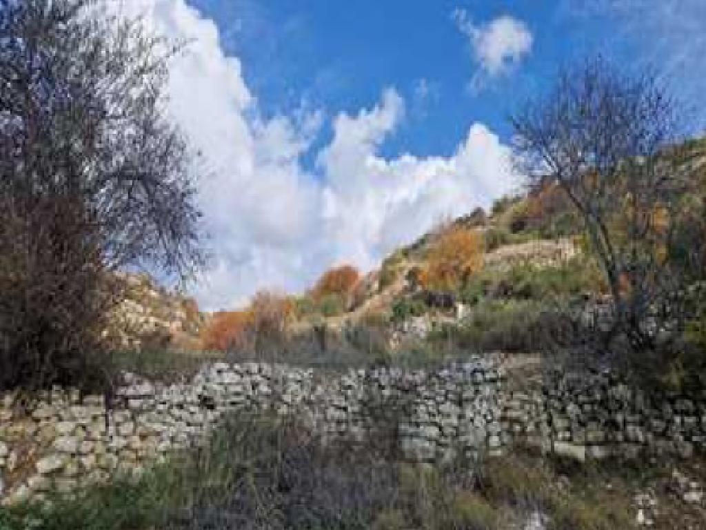 Field-Malia-PR42871