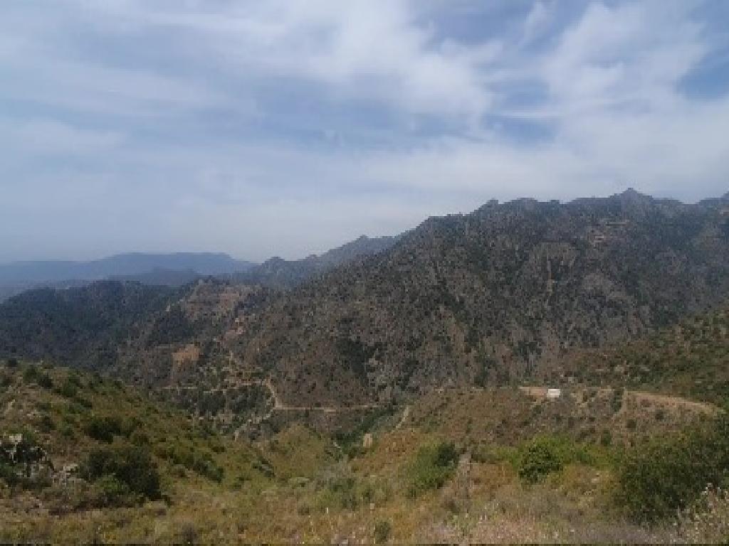 Field-Agioi Vavatsinias-PR42470