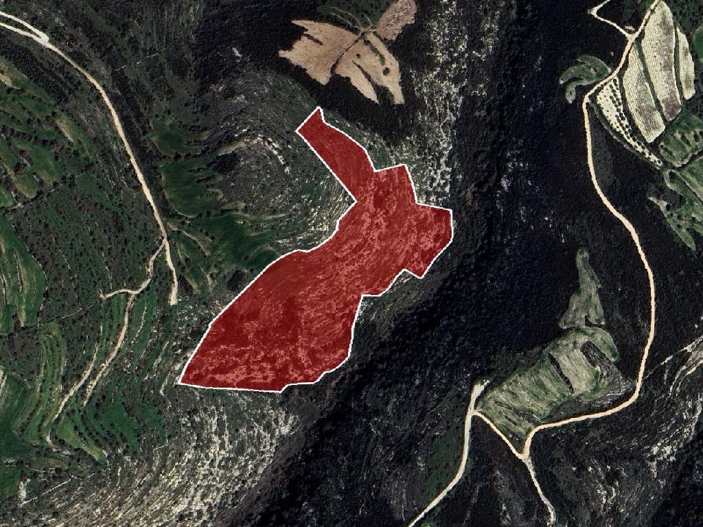 Field-Kritou Terra-PR43515