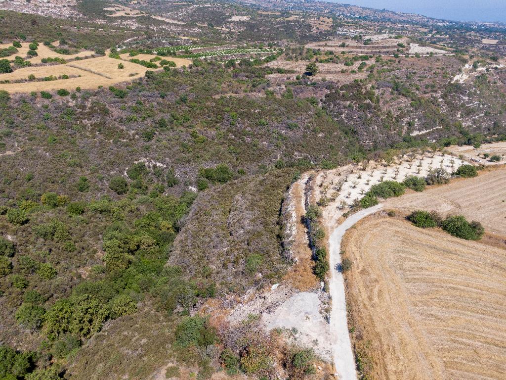 Field - Kritou Tera, Paphos