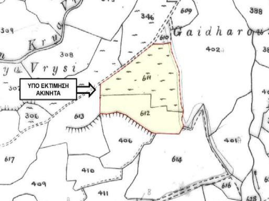 Field-Thrinia-PR44348