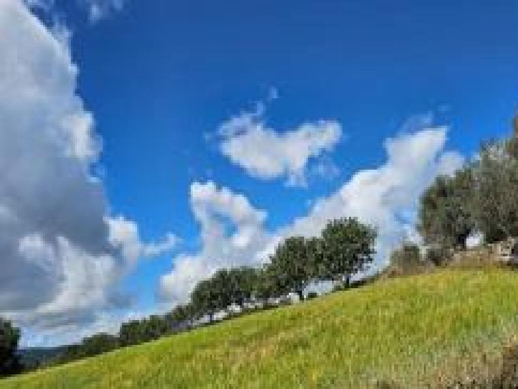 Field-Thrinia-PR44348