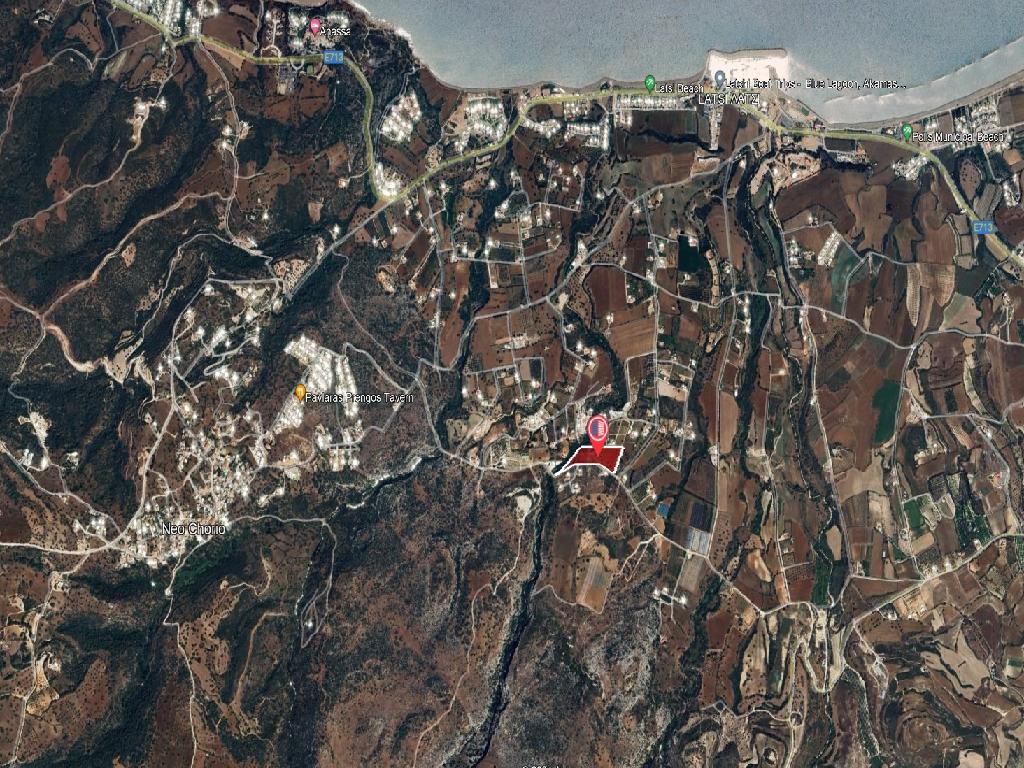 Field-New Chorio-PR44943