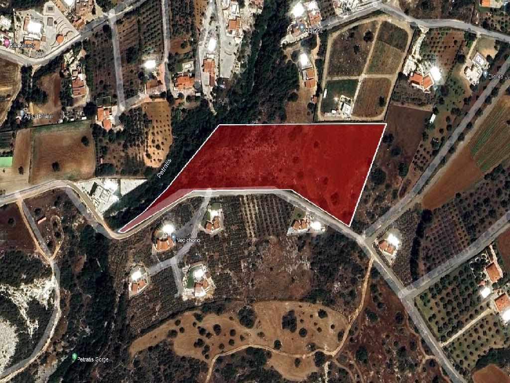 Field-New Chorio-PR44943