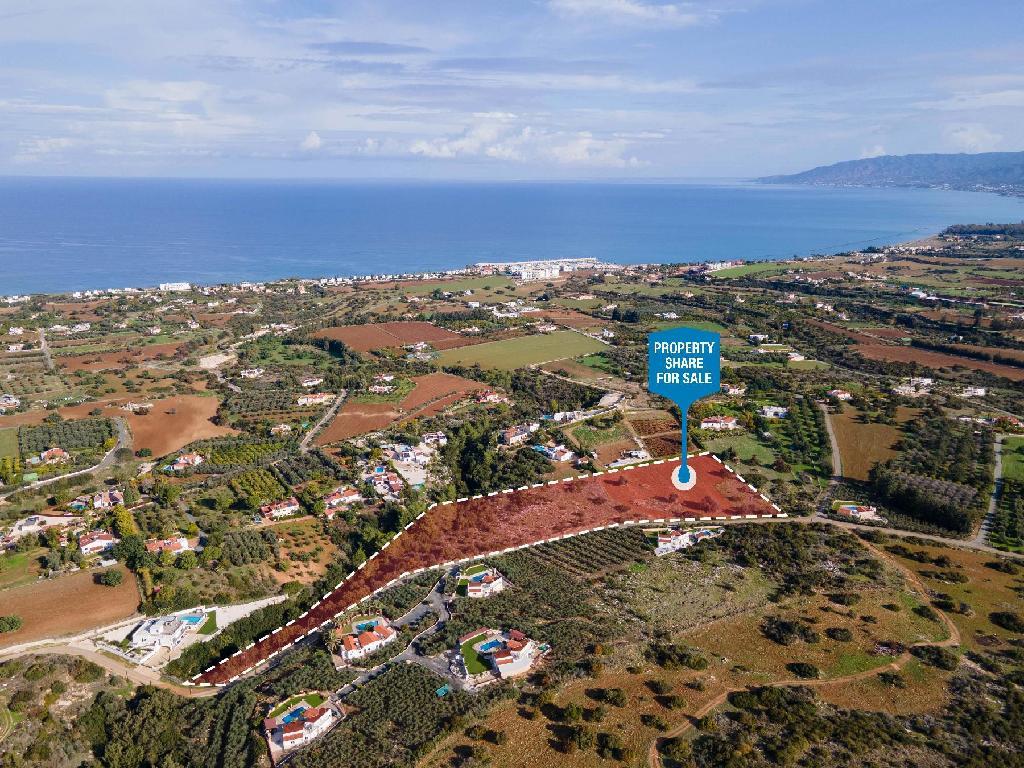 Field-New Chorio-PR44943