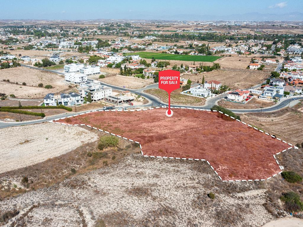 Field - Dali, Nicosia