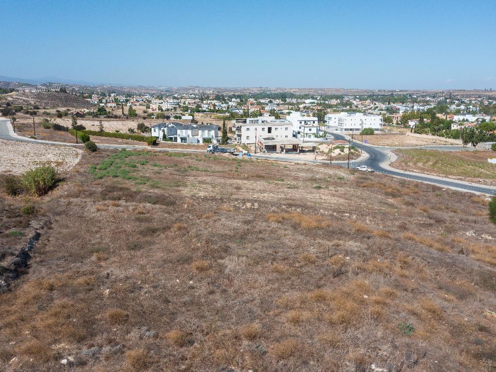 Field - Dali, Nicosia