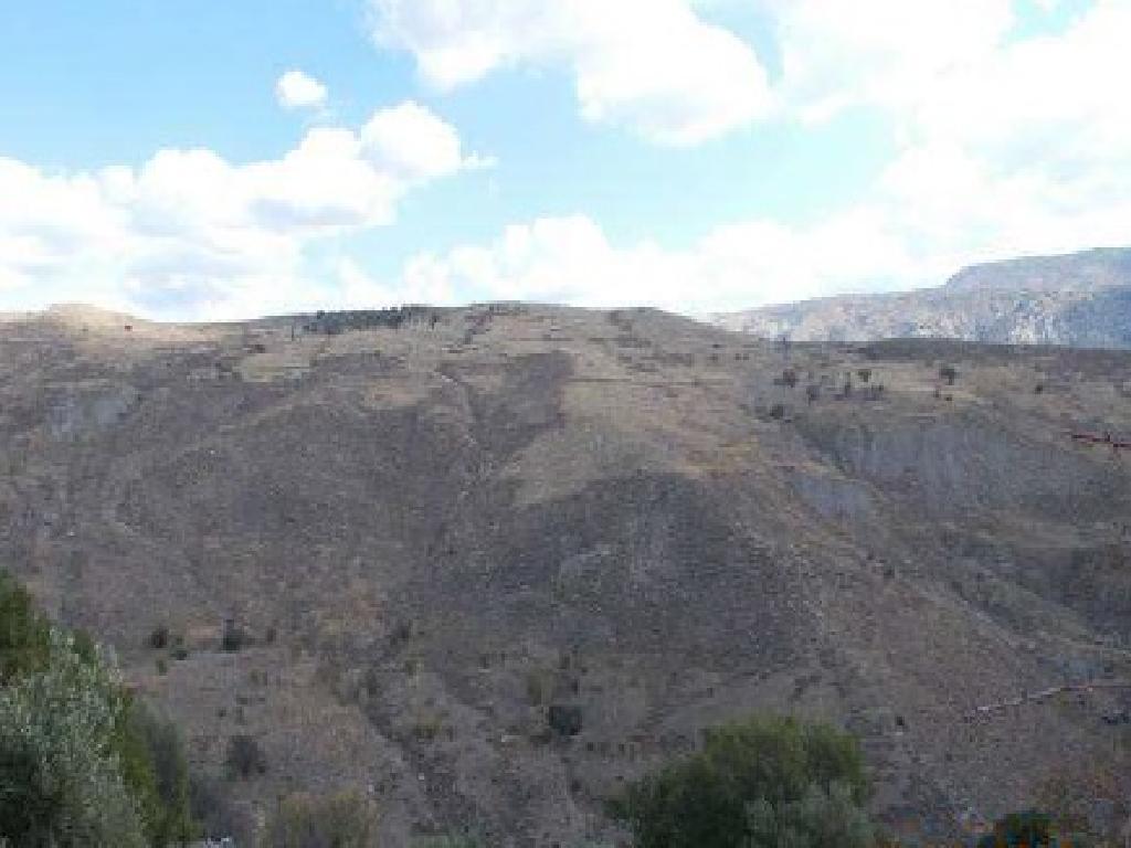 Field-Koilinia-PR13436
