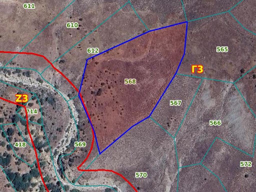 Field-Koilinia-PR13436