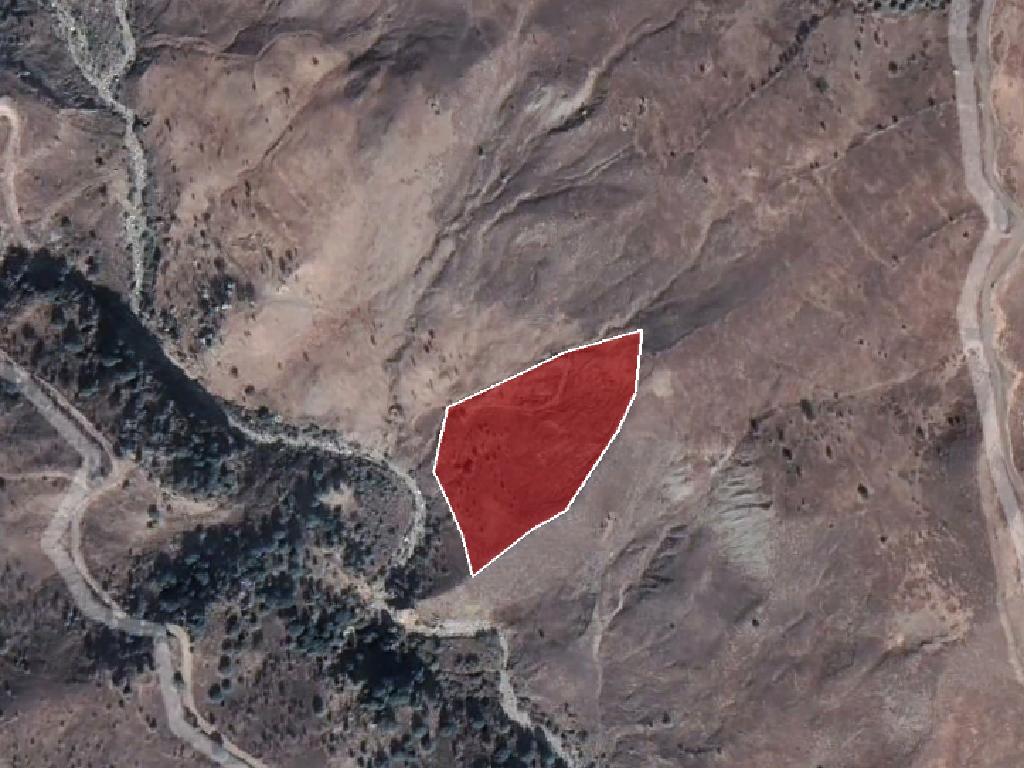 Field-Koilinia-PR13436