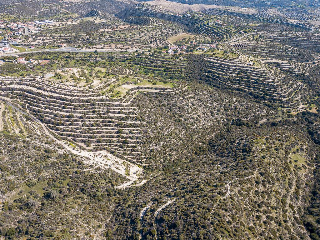 Field - Apesia, Limassol