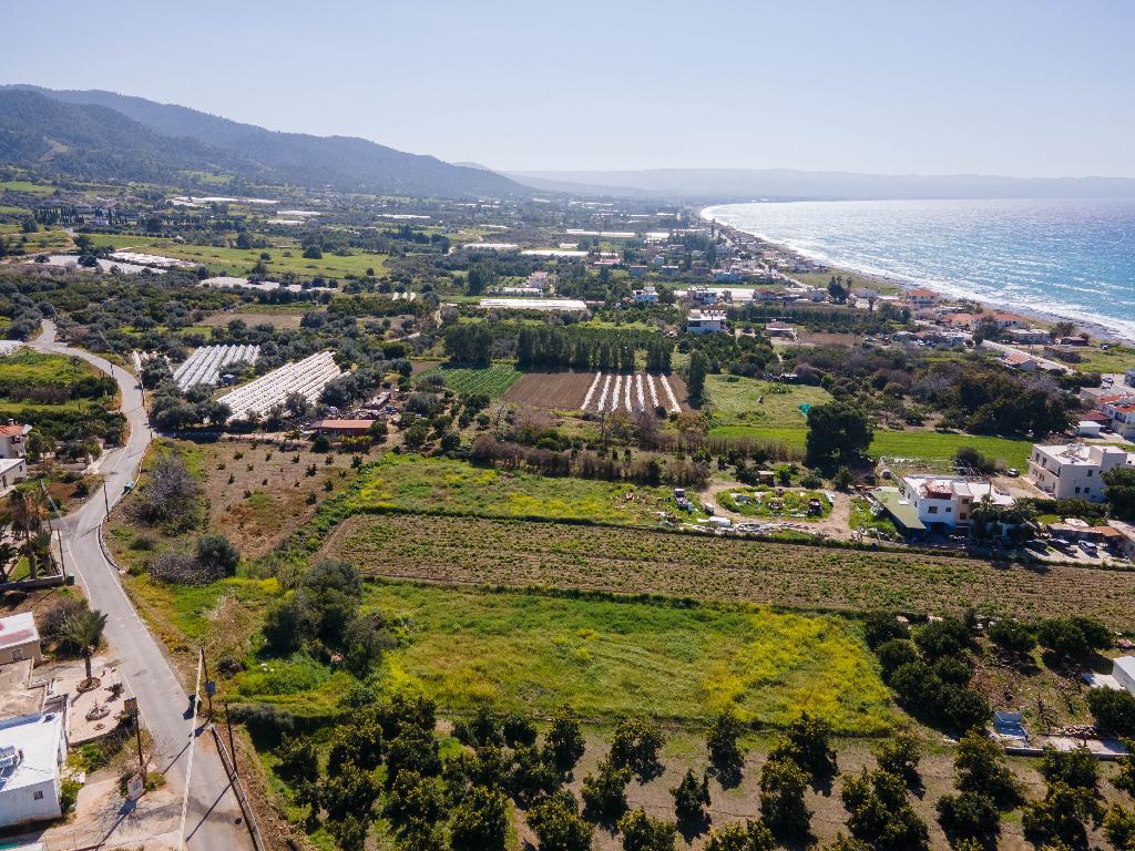 Field-Agia Marina (Chrysohous)-PR32877