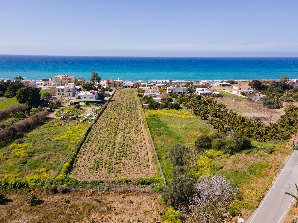 Field-Agia Marina (Chrysohous)-PR32877