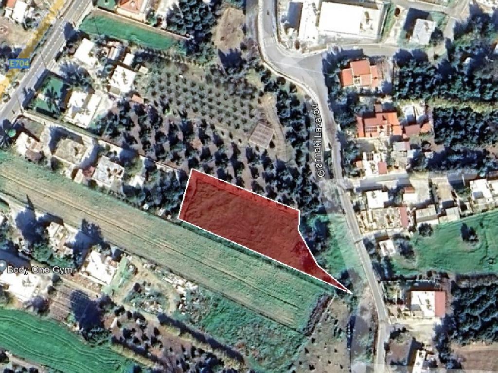 Field-Agia Marina (Chrysohous)-PR32877