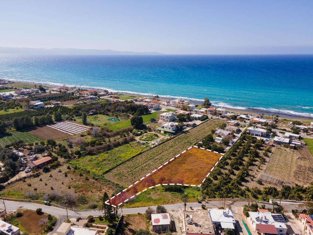Field -  Agia Marina Chrysochous, Paphos
