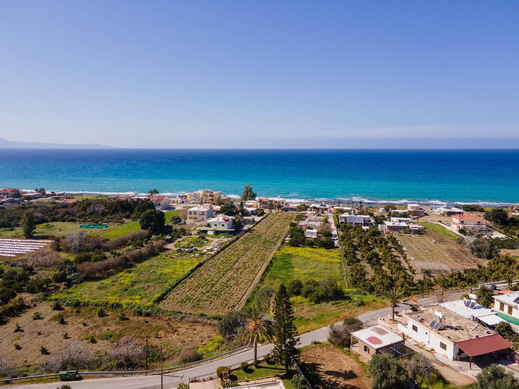 Field-Agia Marina (Chrysohous)-PR32877