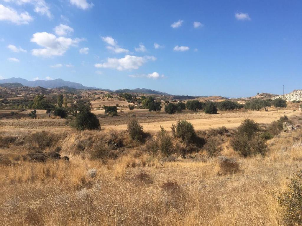 Field-Analiontas-PR32357