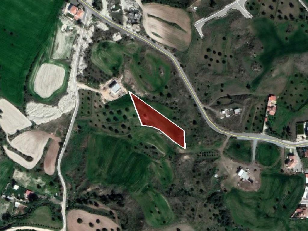 Field-Analiontas-PR32357