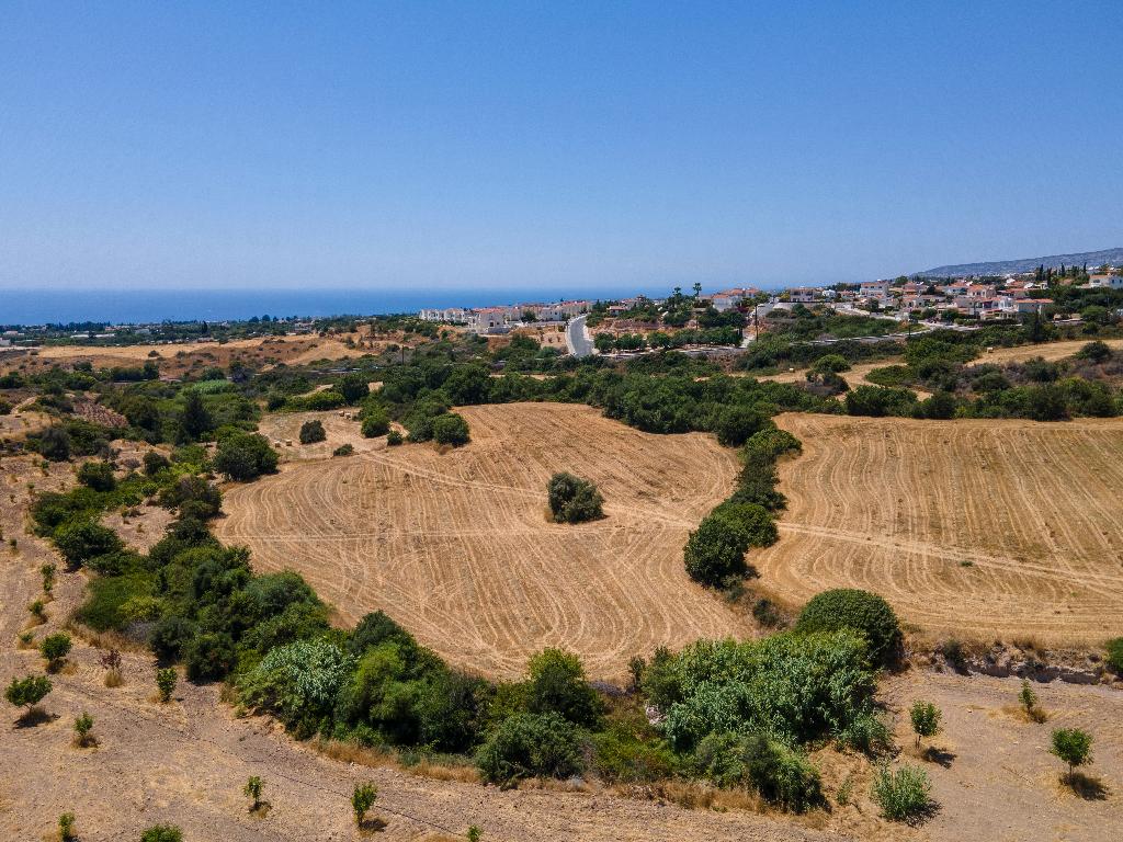 Field - Tala, Paphos
