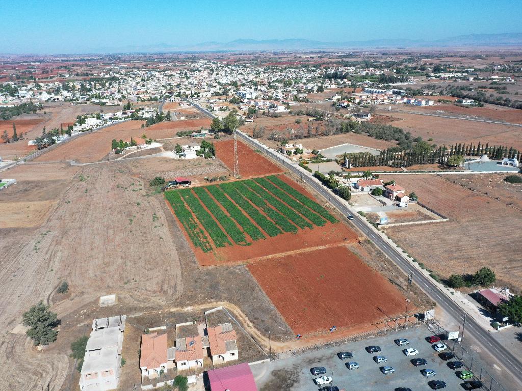 Field (Share) - Avgorou, Famagusta