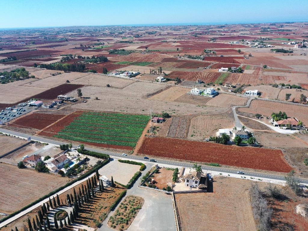 Field (Share) - Avgorou, Famagusta