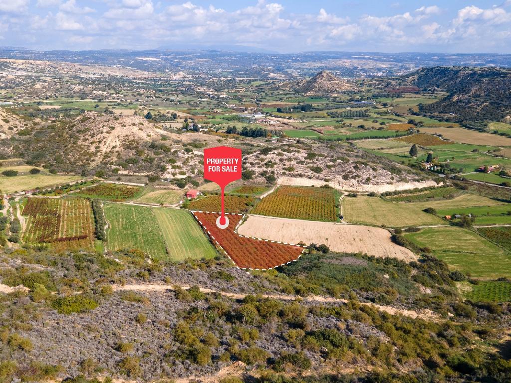Field-Pissouri-PR36907