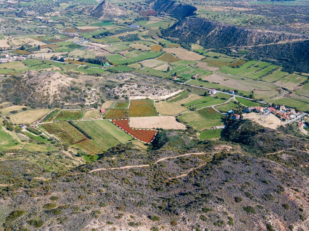 Field-Pissouri-PR36907