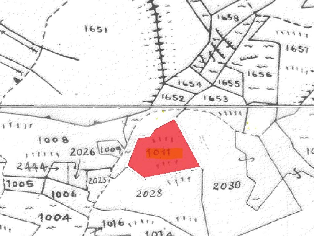 Field-Fterikoudi-PR36524