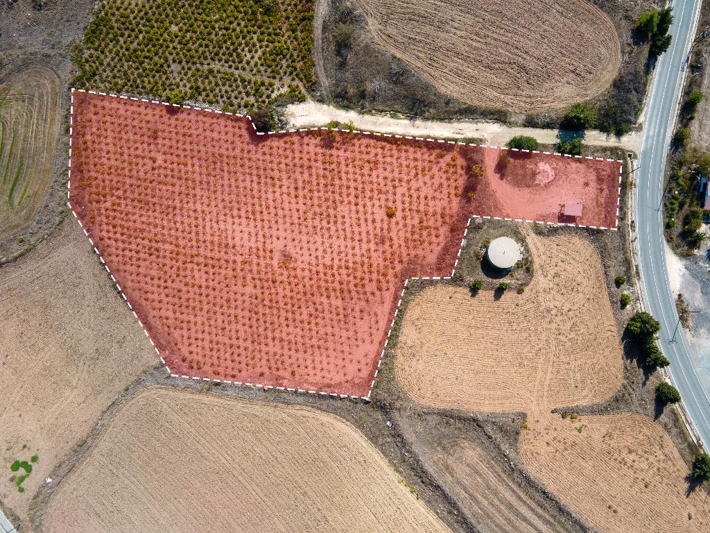 Field-Pano Arodes-PR37010