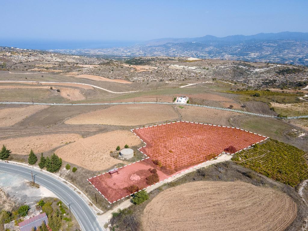 Field-Pano Arodes-PR37010