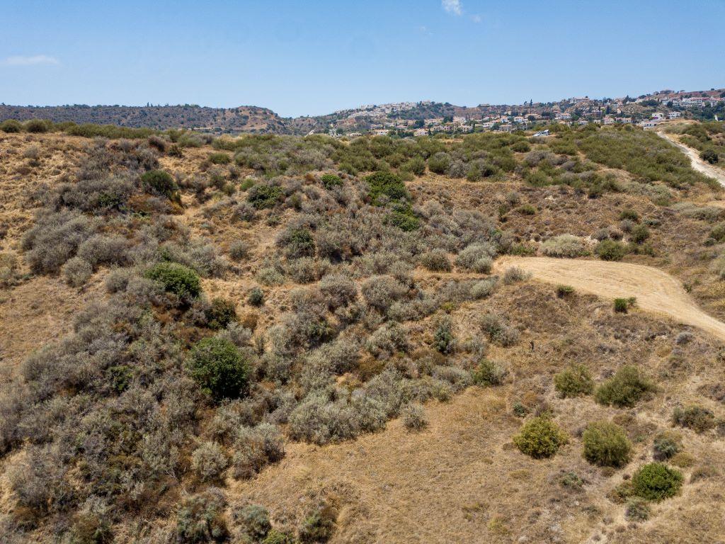 Field-Pissouri-PR37256