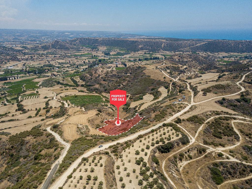 Field-Pissouri-PR37256