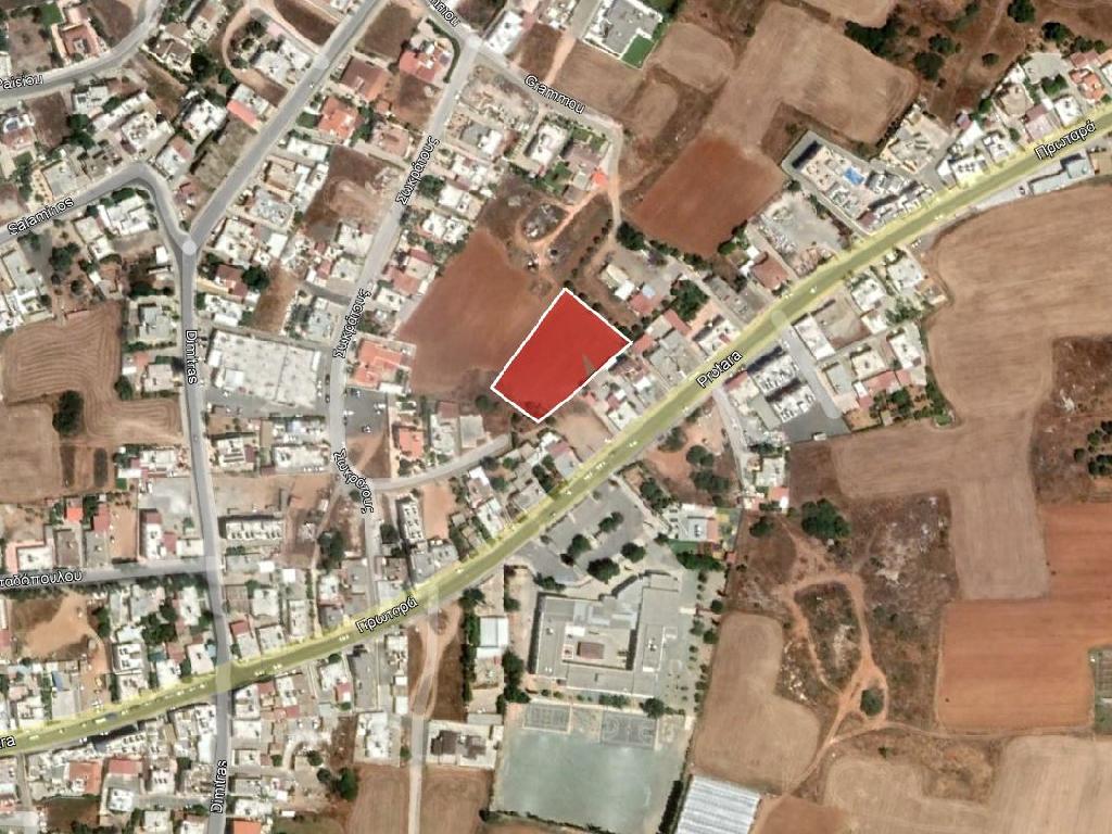 Field-Paralimni-PR37696