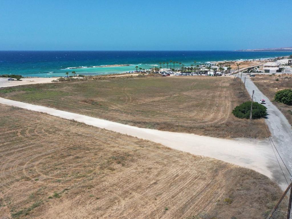Field-Agia Napa-PR38275