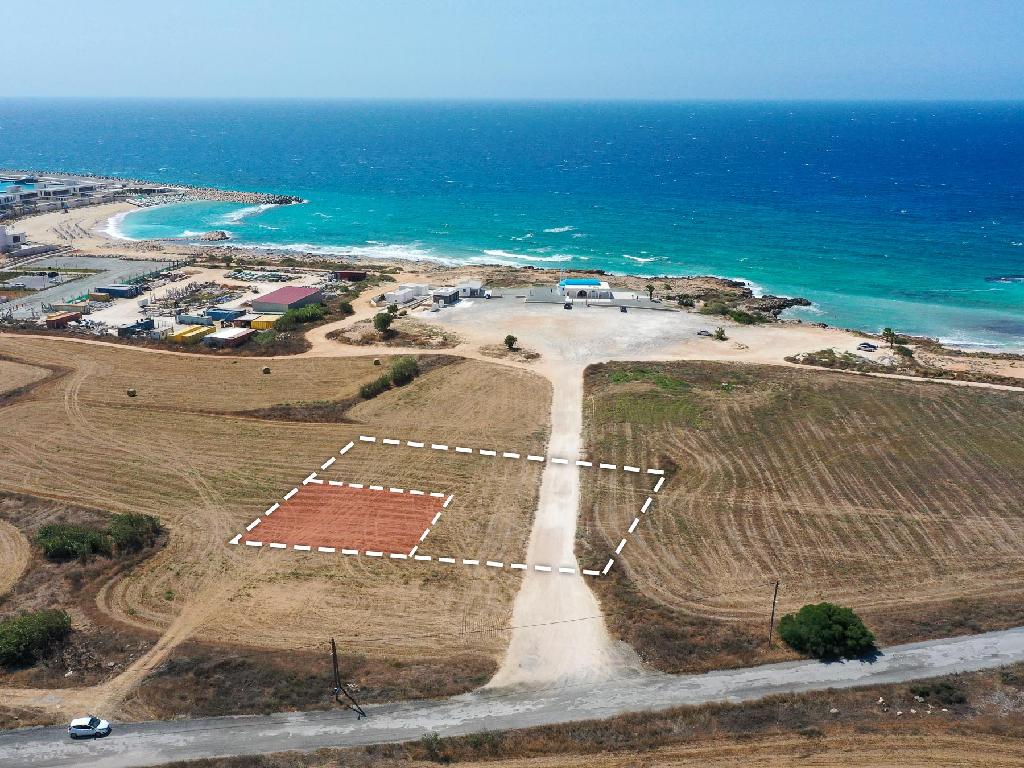 Field-Agia Napa-PR38275