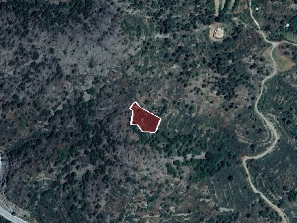Field-Palaichori Morfou-PR40247