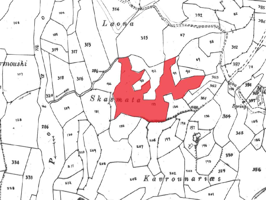 Field-Pegeia-PR40557