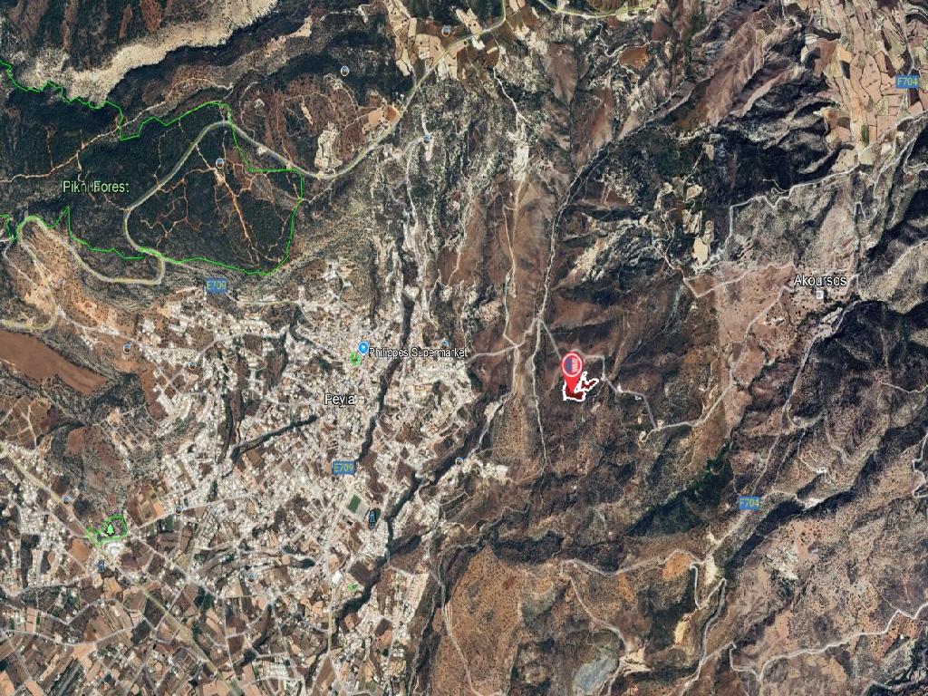 Field-Pegeia-PR40557