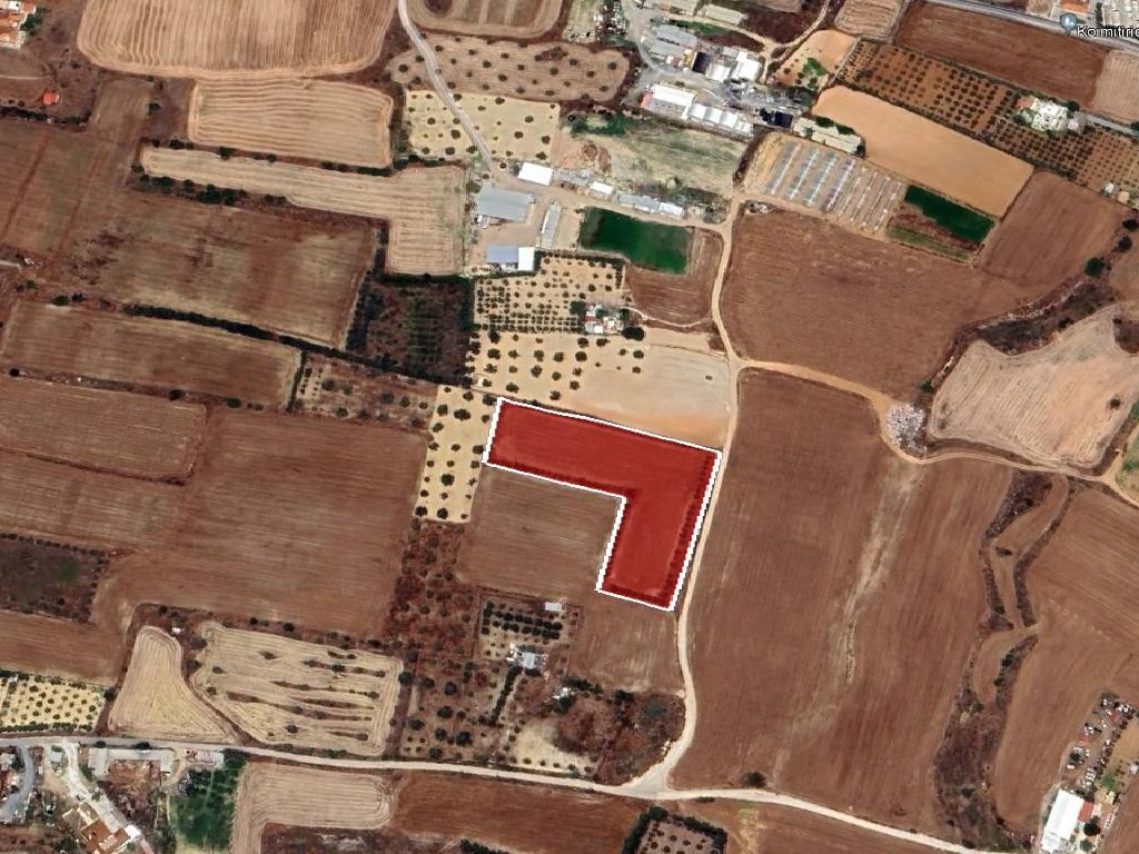 Field-Psimolofou-PR40531