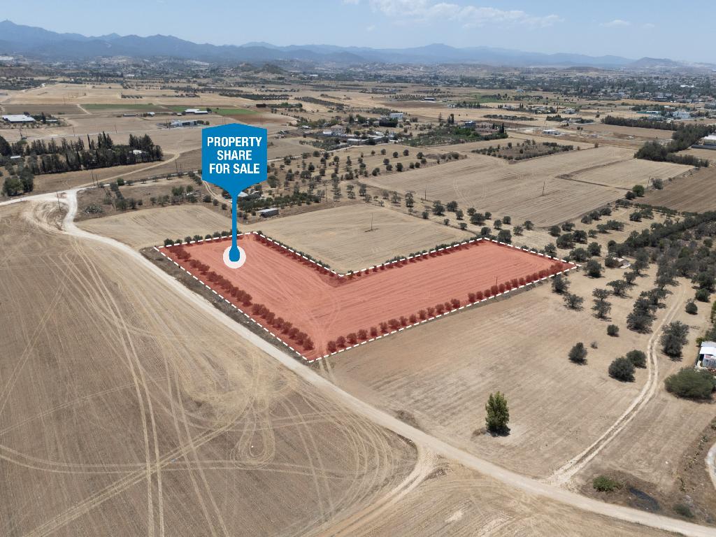 Field (Share) - Psimolofou, Nicosia