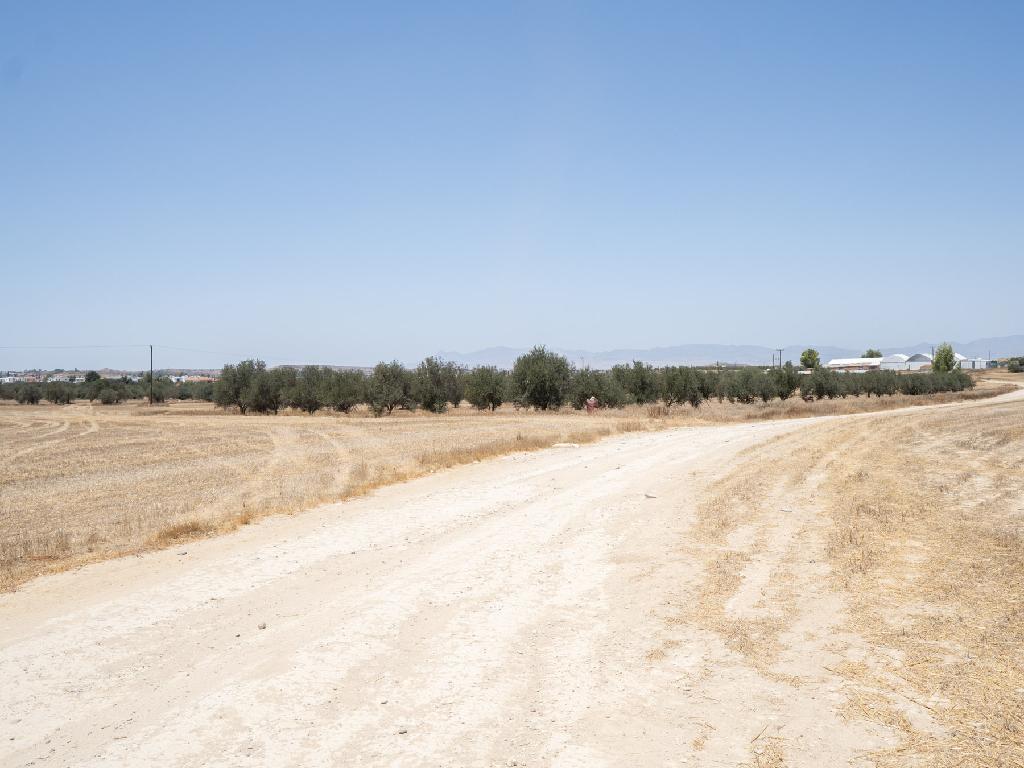Field (Share) - Psimolofou, Nicosia