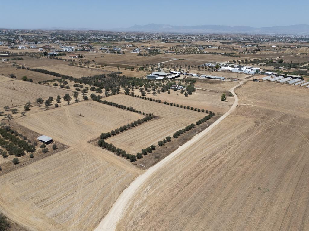 Field (Share) - Psimolofou, Nicosia