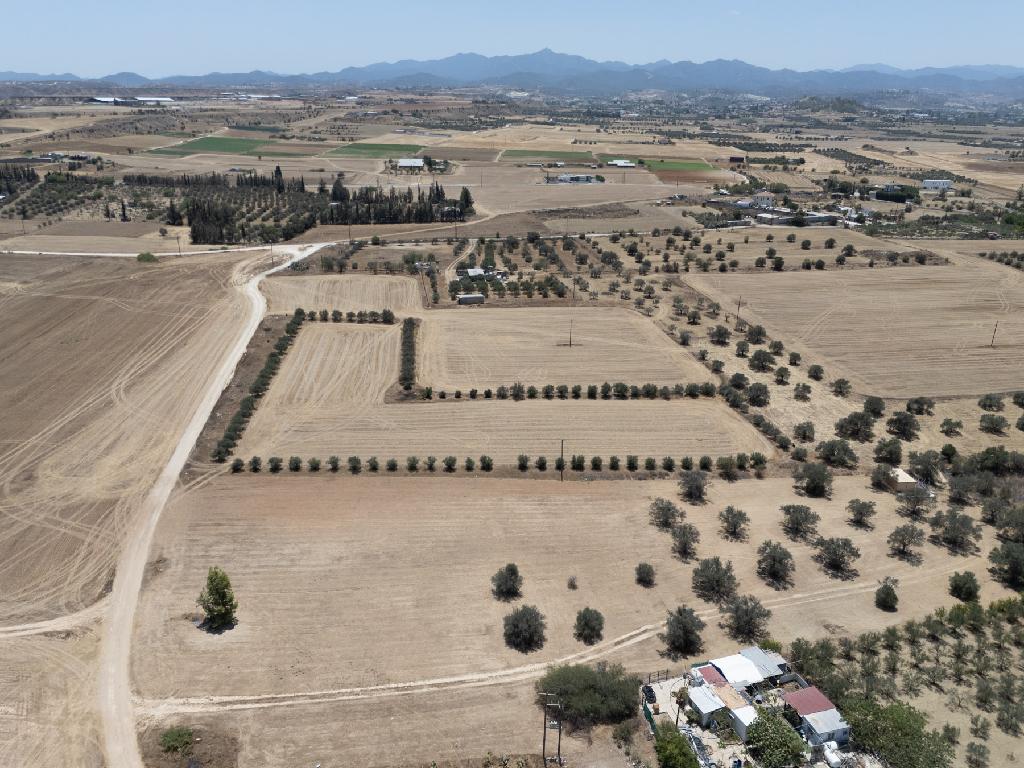 Field (Share) - Psimolofou, Nicosia