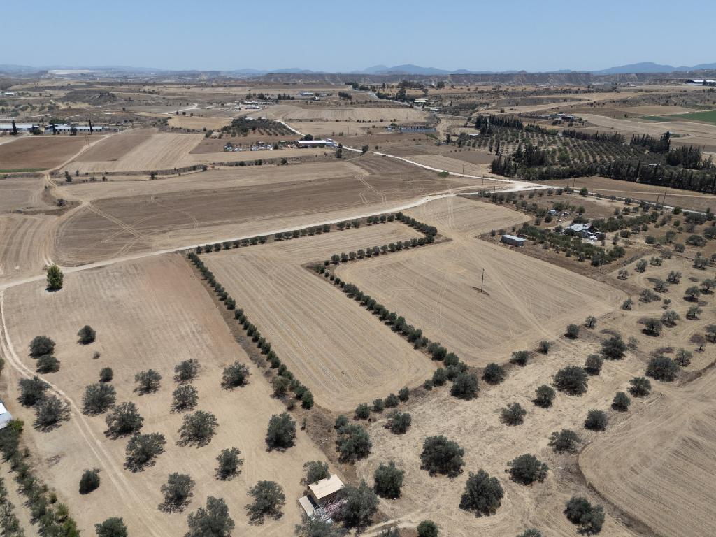 Field (Share) - Psimolofou, Nicosia