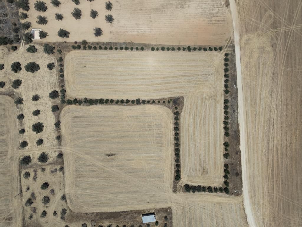 Field-Psimolofou-PR40531