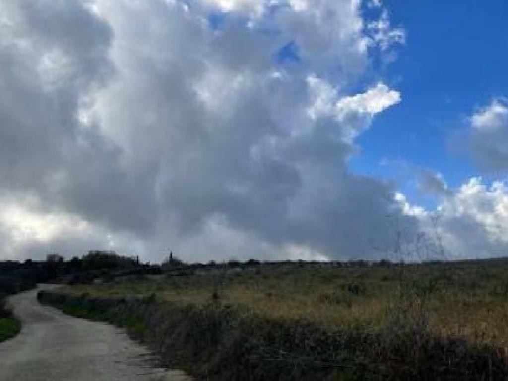Field-Pano Akourdaleia-PR42276
